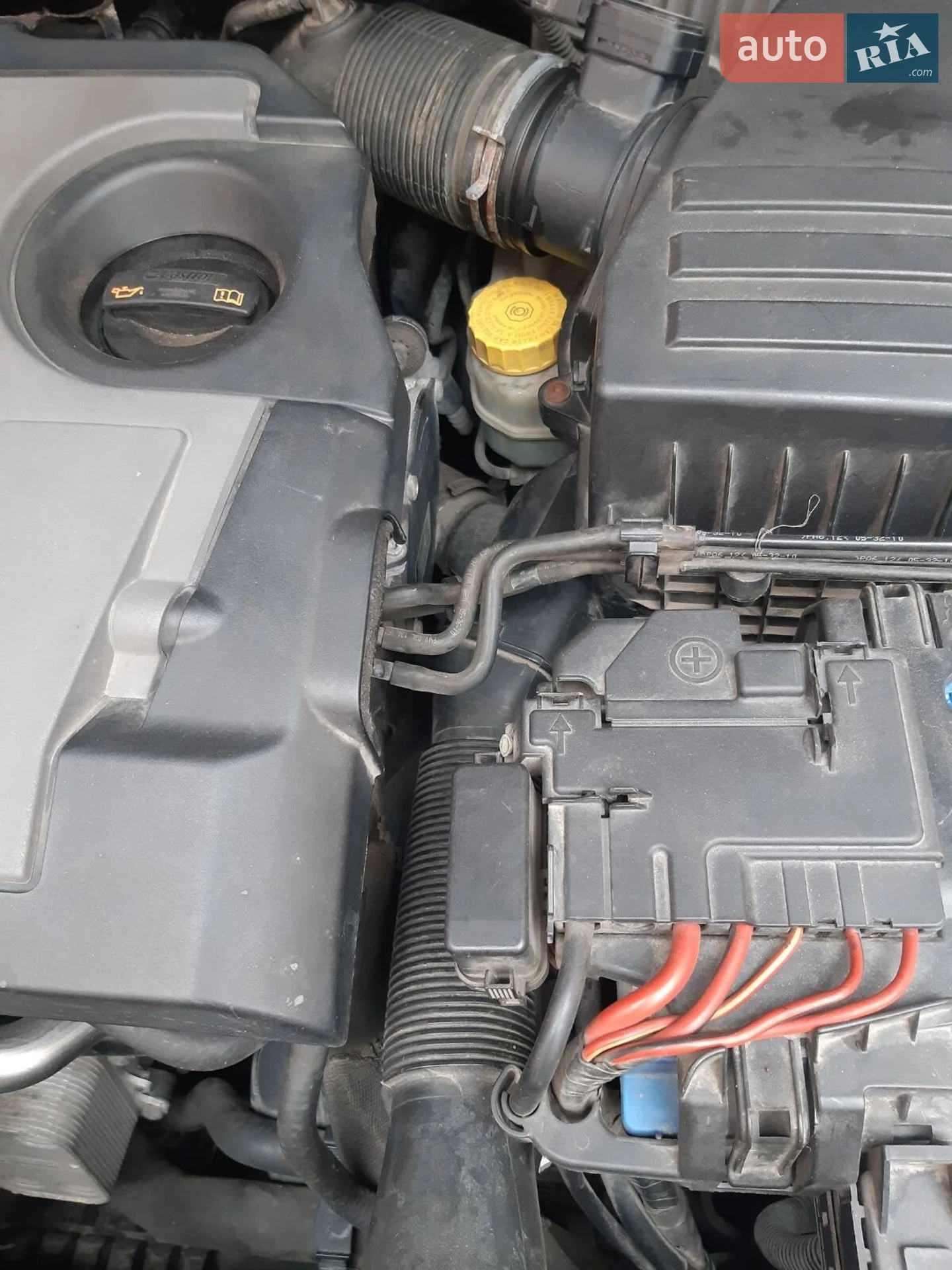 2011 SEAT Ibiza - мініатюра 3