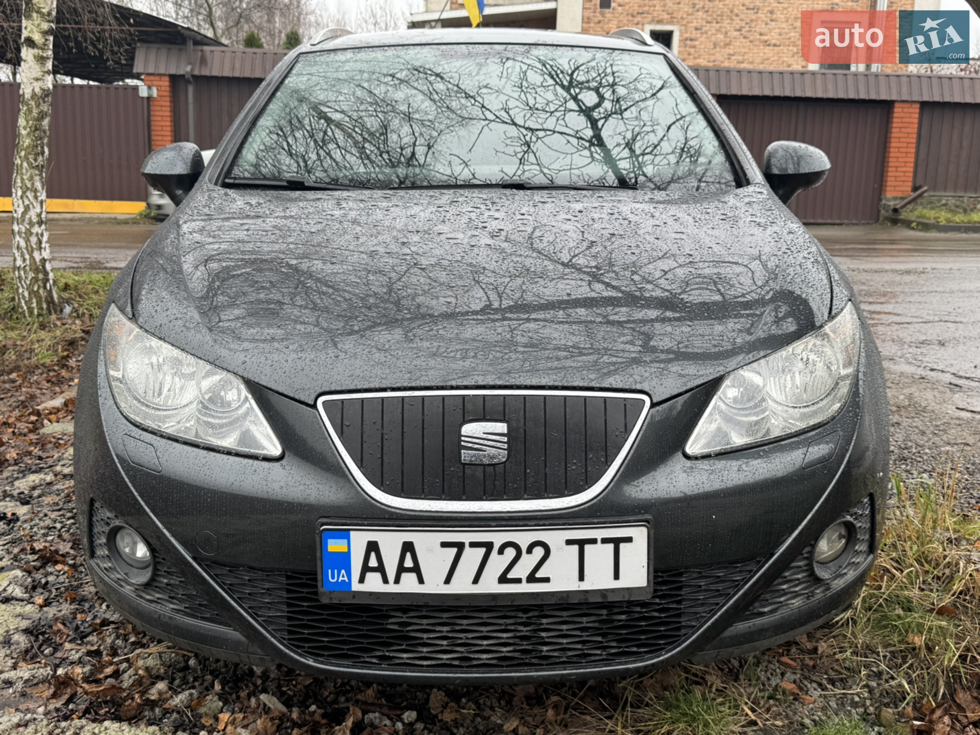 2011 SEAT Ibiza - фото 1