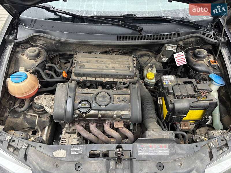 Хетчбек SEAT Ibiza 2008 в Ременеві