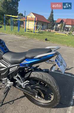 Мотоцикл Без обтекателей (Naked bike) Senke Leopard 2022 в 