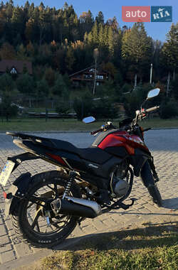 Мотоцикл Классик Shineray DS 200 2020 в 