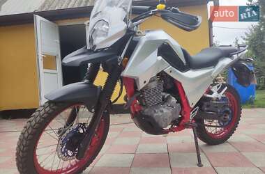 Мотоцикл Позашляховий (Enduro) Shineray Elcrosso 400 2019 в 