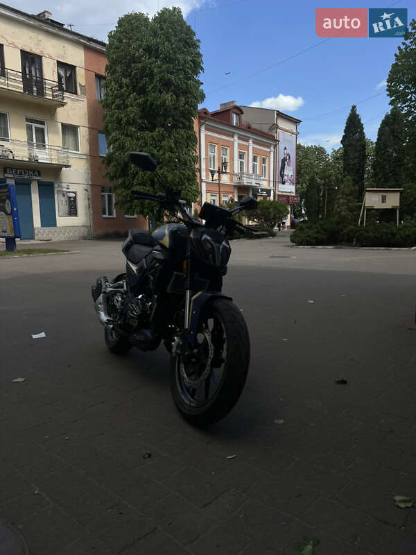 Грузовые мотороллеры, мотоциклы, скутеры, мопеды Shineray Nitrox 300 2024 в Надворной фото 7 Грузовые мотороллеры, мотоциклы, скутеры, мопеды Shineray Nitrox 300 2024 в Надворной