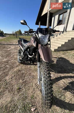 Мотоцикл Кросс Shineray XY 250GY-6C Light 2021 в 