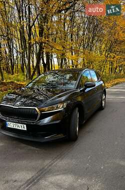 Позашляховик / Кросовер Skoda Enyaq iV 2021 в Берестечку