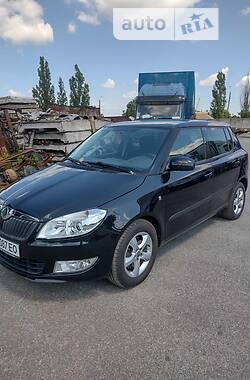 Хэтчбек Skoda Fabia 2010 в Хмельницком