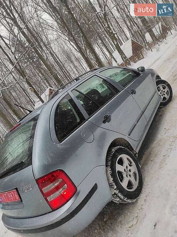 Універсал Skoda Fabia 2003 в Пустомитах