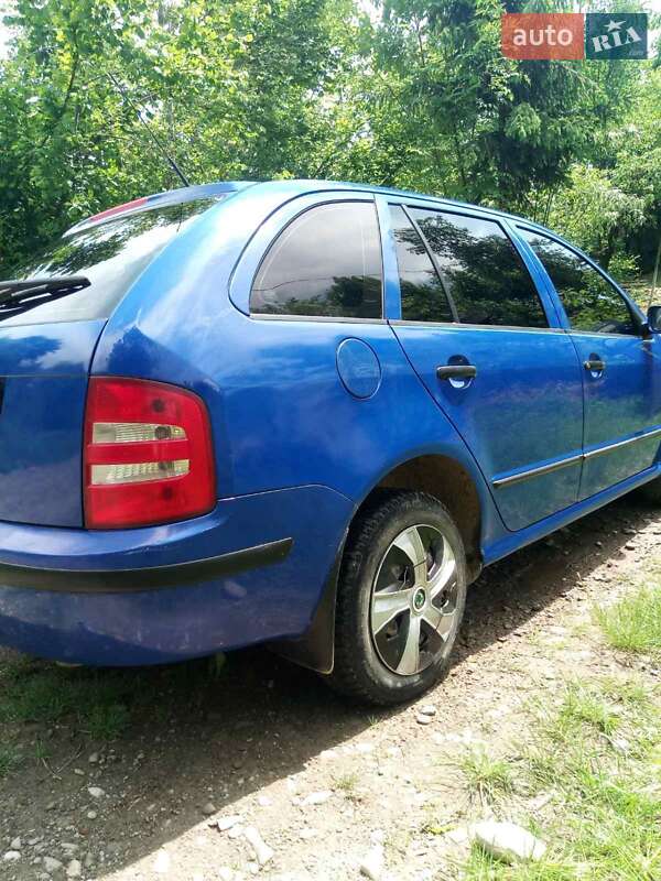 Універсал Skoda Fabia 2002 в Тячеві