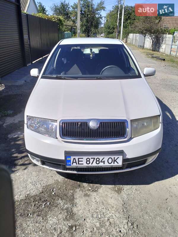 Хэтчбек Skoda Fabia 2001 в Кривом Роге