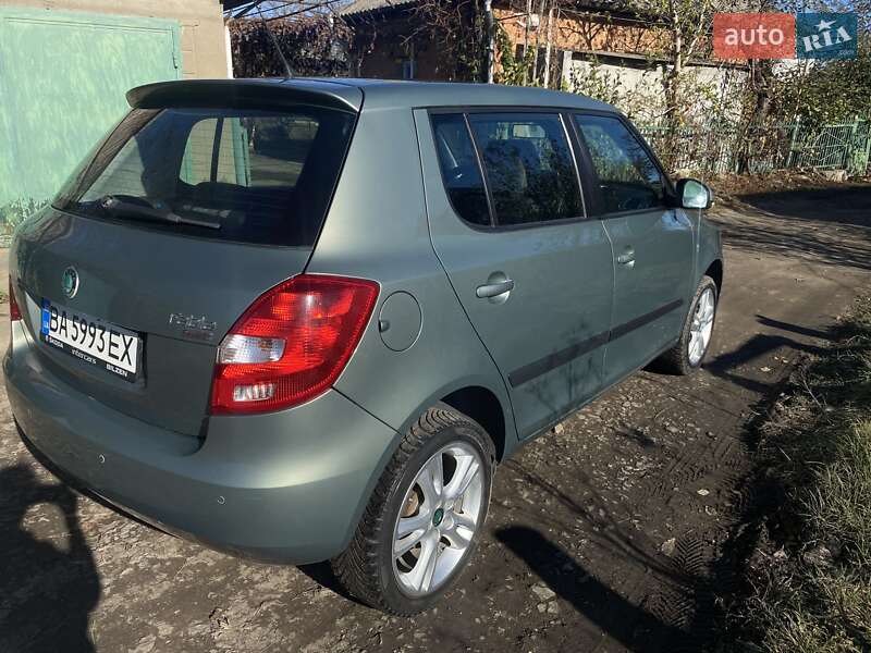 Хэтчбек Skoda Fabia 2010 в Кривом Озере