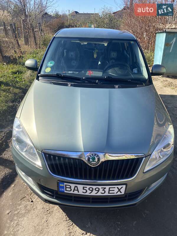 Хэтчбек Skoda Fabia 2010 в Кривом Озере