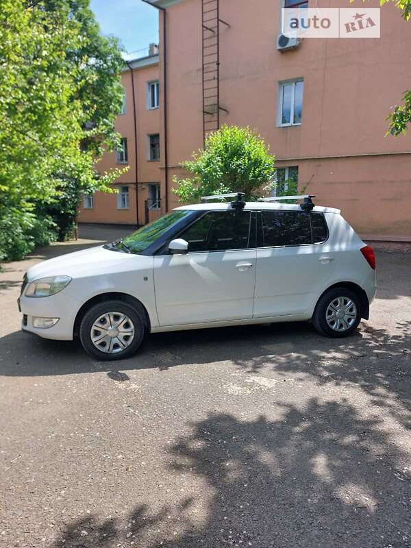 Хэтчбек Skoda Fabia 2010 в Измаиле