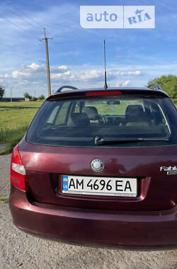 Универсал Skoda Fabia 2009 в Житомире