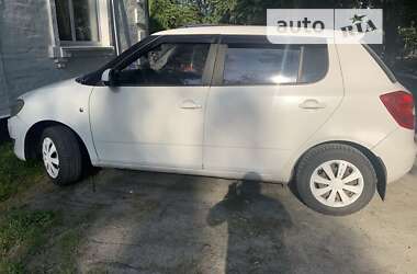 Хэтчбек Skoda Fabia 2010 в Житомире