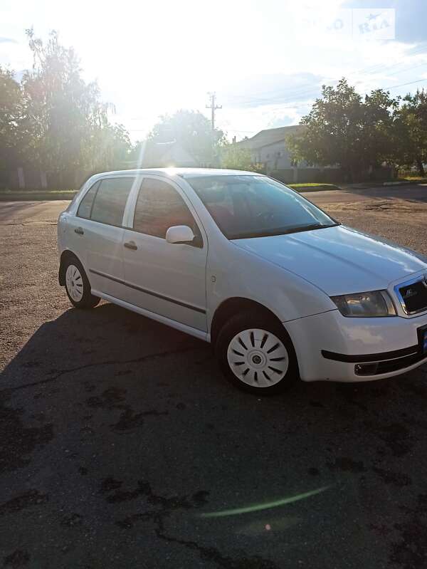 Хетчбек Skoda Fabia 2001 в Дніпрі