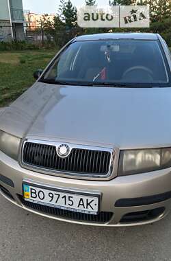 Хэтчбек Skoda Fabia 2005 в Тернополе