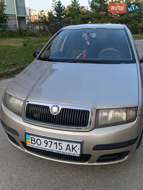 Хэтчбек Skoda Fabia 2005 в 