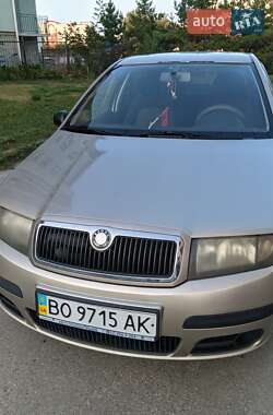 Хэтчбек Skoda Fabia 2005 в 