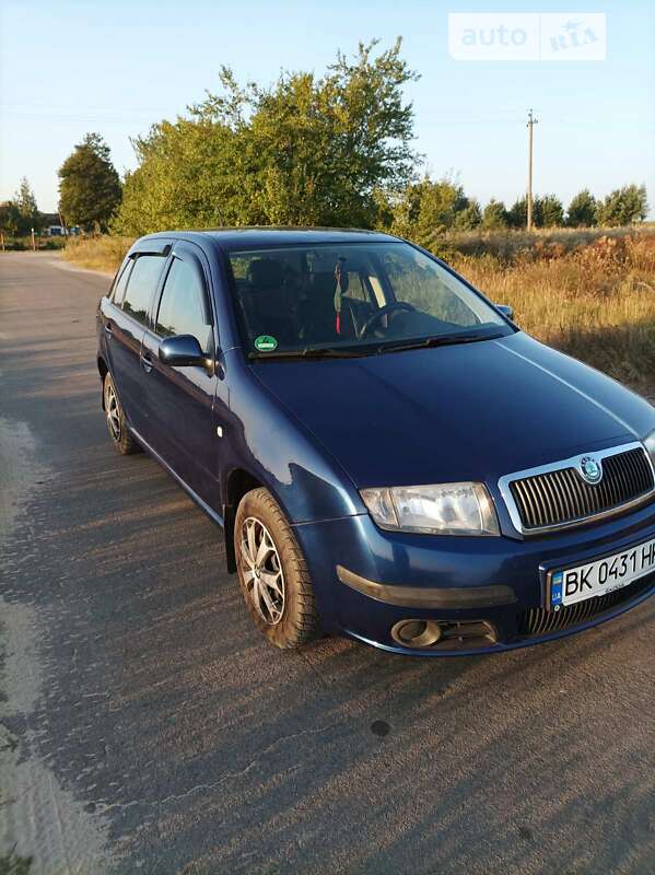 Хетчбек Skoda Fabia 2006 в Володимирці