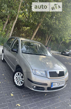 Хэтчбек Skoda Fabia 2007 в Киеве