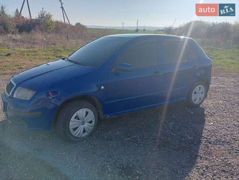 Хетчбек Skoda Fabia 2004 в Тлумачі