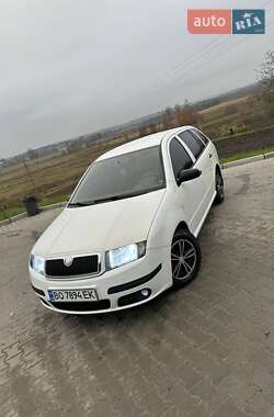 Универсал Skoda Fabia 2007 в Шумске