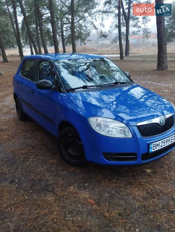 Хетчбек Skoda Fabia 2009 в Сумах