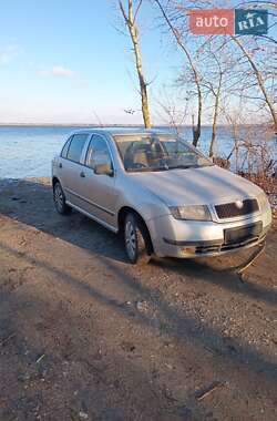 Хетчбек Skoda Fabia 2003 в Верхньодніпровську