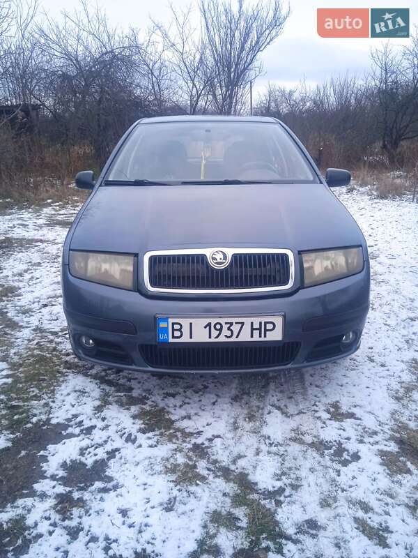 Хетчбек Skoda Fabia 2006 в Горішніх Плавнях