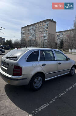 Хетчбек Skoda Fabia 2002 в Кривому Розі