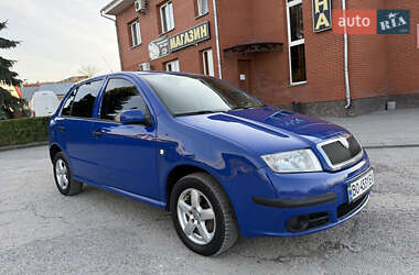 Хэтчбек Skoda Fabia 2007 в 