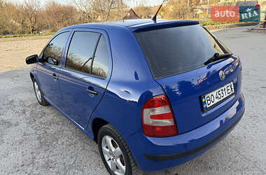 Хэтчбек Skoda Fabia 2007 в 