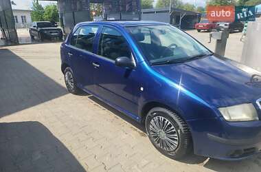 Хэтчбек Skoda Fabia 2006 в Снятине