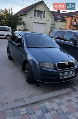 Хетчбек Skoda Fabia 2006 в 