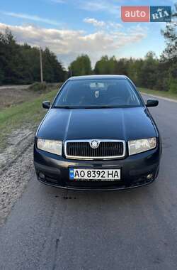 Хетчбек Skoda Fabia 2006 в Ратному
