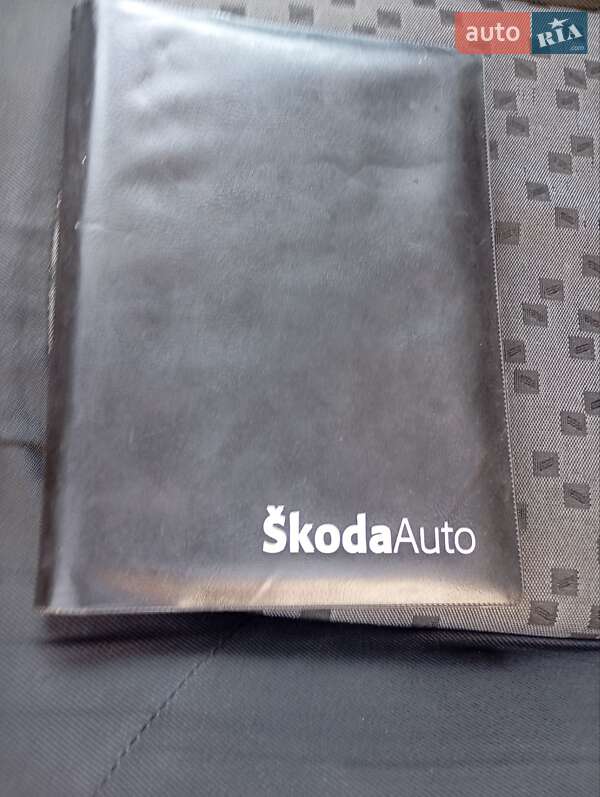 Седан Skoda Fabia 2007 в Богородчанах