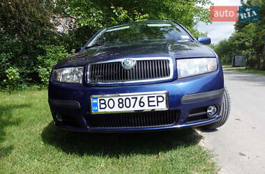 Універсал Skoda Fabia 2007 в Теребовлі