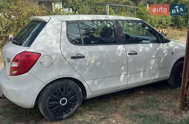 Хэтчбек Skoda Fabia 2010 в 