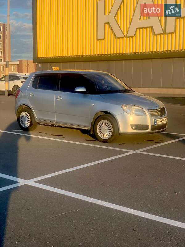 Хэтчбек Skoda Fabia 2009 в Киеве