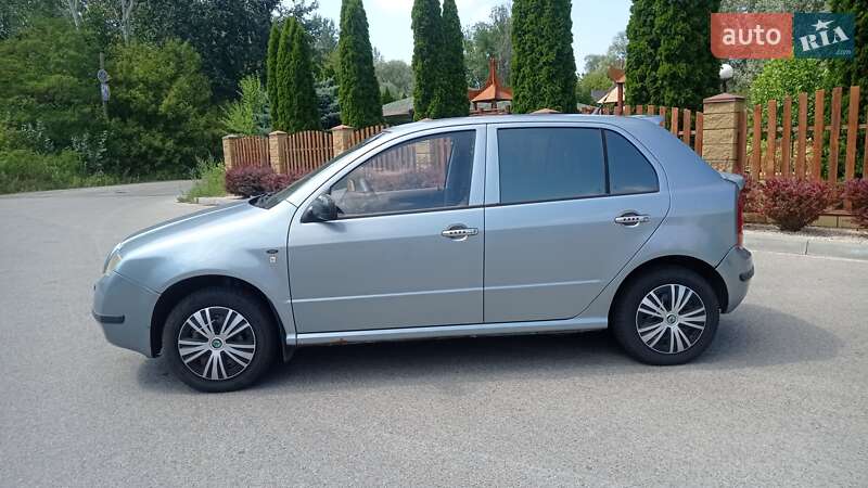 Хэтчбек Skoda Fabia 2002 в Днепре