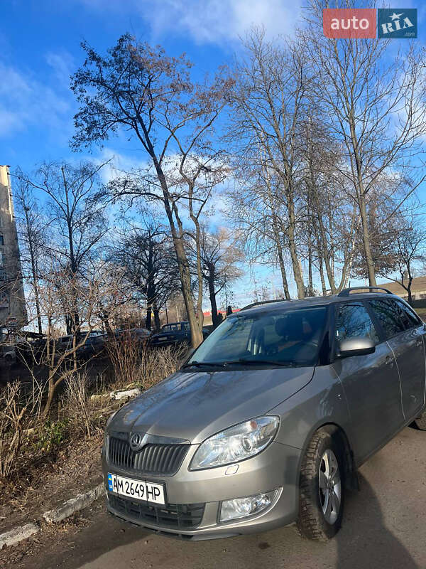 Хэтчбек Skoda Fabia 2014 в Житомире