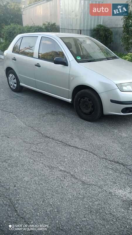 Хэтчбек Skoda Fabia 2005 в Полонном