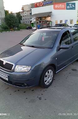 Универсал Skoda Fabia 2005 в Шостке