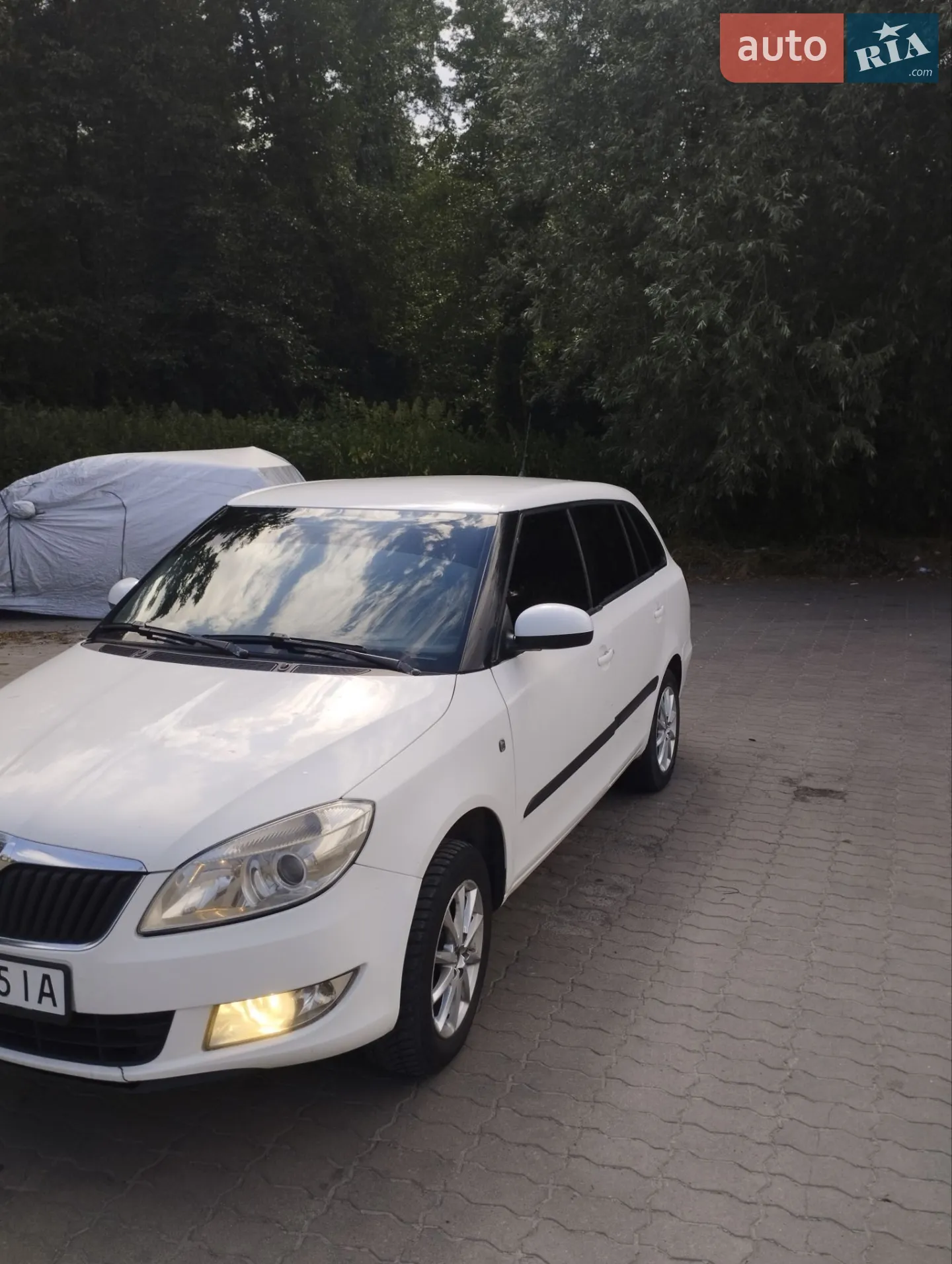 2010 Skoda Fabia - фото 1