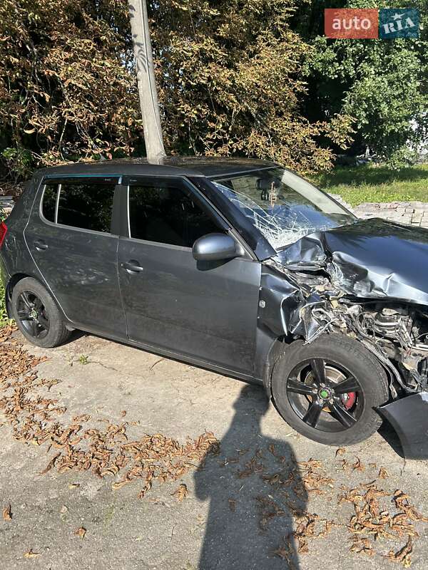 Хэтчбек Skoda Fabia 2010 в Житомире
