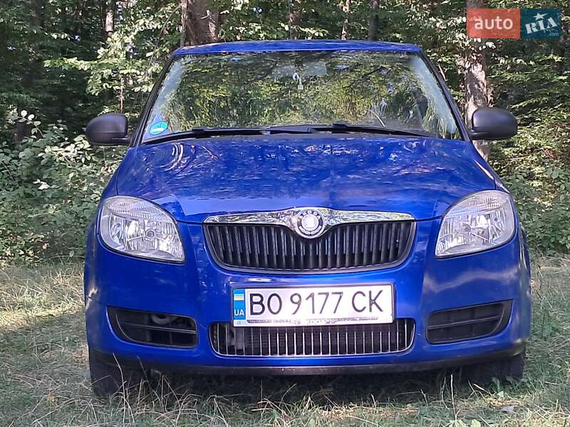 Хэтчбек Skoda Fabia 2008 в Борщеве