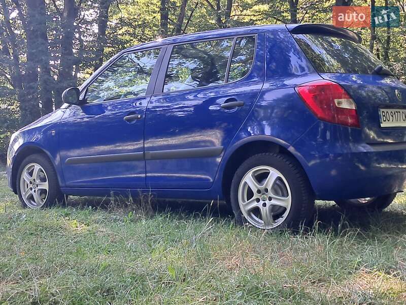 Хэтчбек Skoda Fabia 2008 в Борщеве