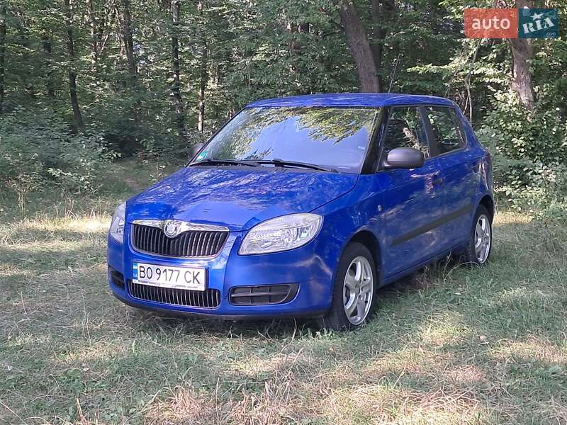 Хэтчбек Skoda Fabia 2008 в Борщеве