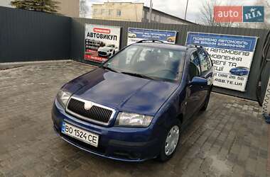 Універсал Skoda Fabia 2007 в Тернополі