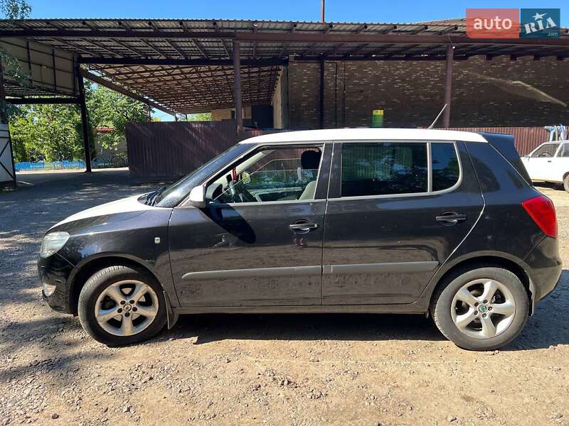 Хетчбек Skoda Fabia 2011 в Заводське